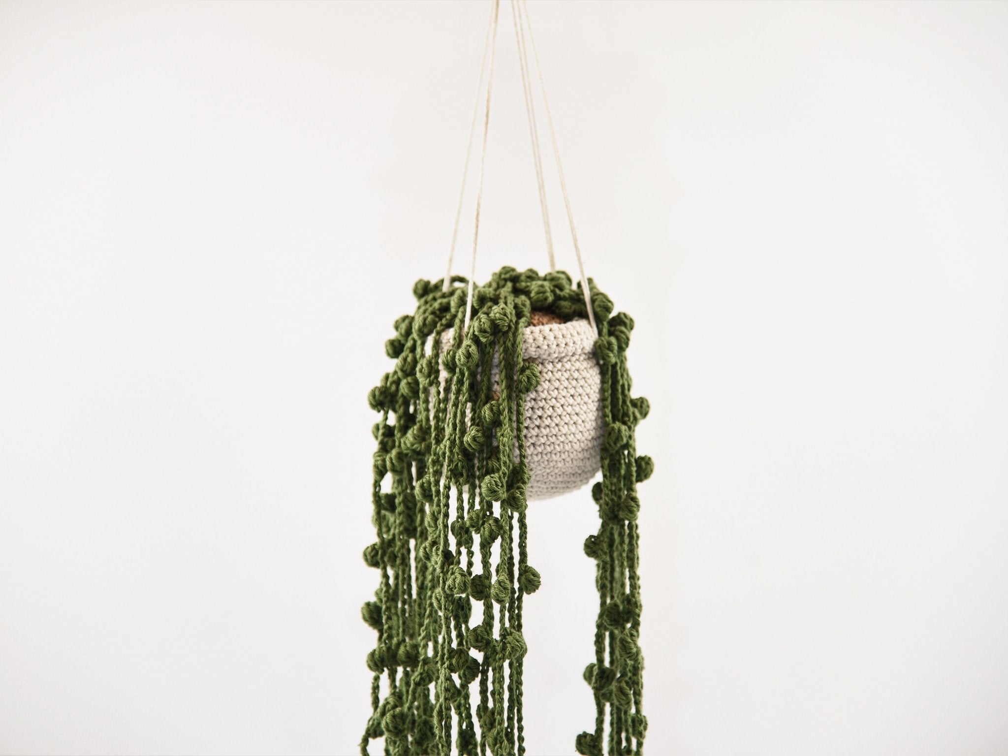 https://ausnabrueck.com/cdn/shop/products/gehakelte-erbsenpflanze-crochet-plantes-986943.jpg?v=1677141747